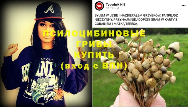 бошки Остров